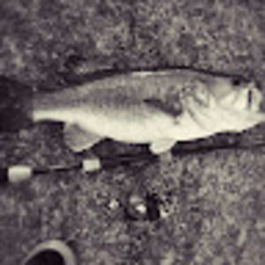 Meet your Posher, Dillon